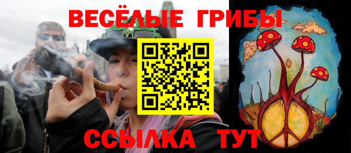 Псилоцибиновые грибы MAGIC MUSHROOMS  Вход с VPN  Усть-Илимск 